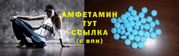 винт Каменка