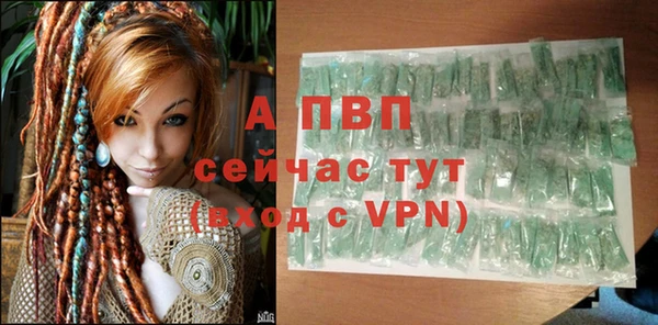 винт Каменка