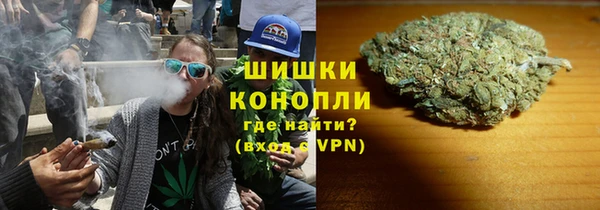 винт Каменка