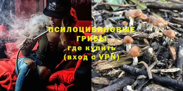 винт Каменка