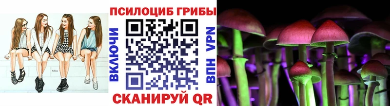 Галлюциногенные грибы Cubensis  Купить  Биробиджан 